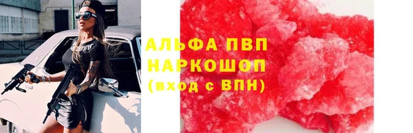 прущие грибы Богородицк