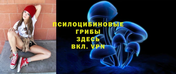 прущие грибы Богородицк