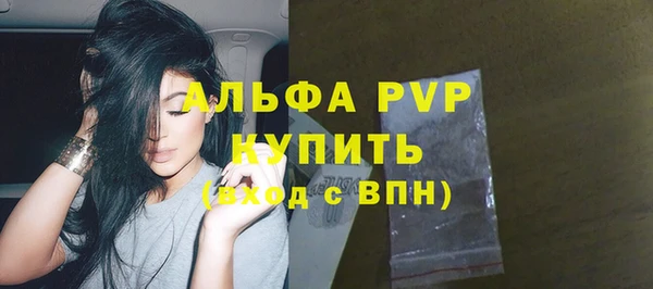 прущие грибы Богородицк