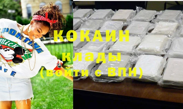 прущие грибы Богородицк