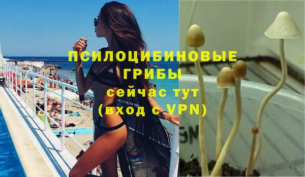 кокаин Богданович