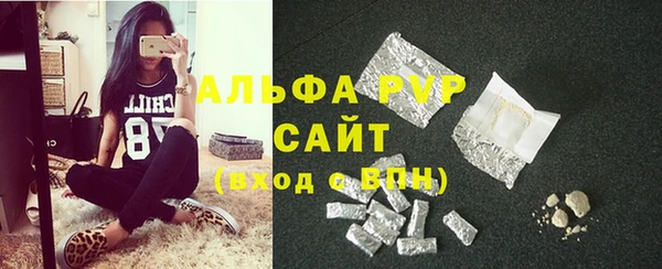 прущие грибы Богородицк