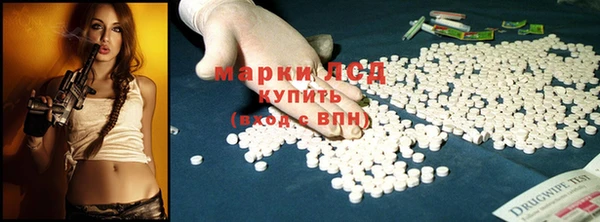 прущие грибы Богородицк