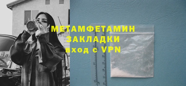 прущие грибы Богородицк